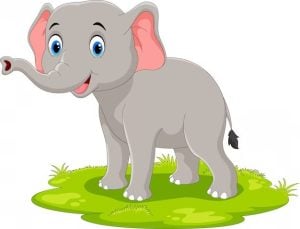 elephant