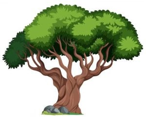 tree